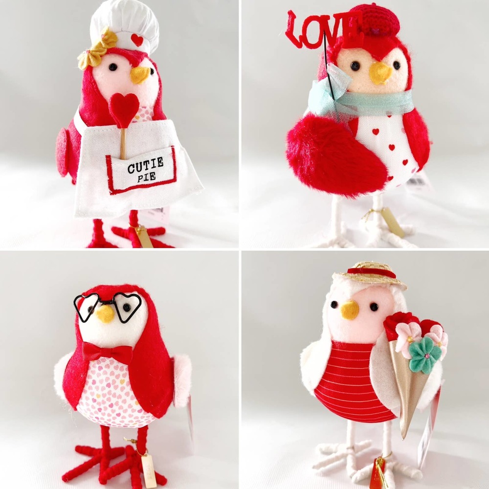 Target Wondershop 2023 Valentines Day Birds Set of 4